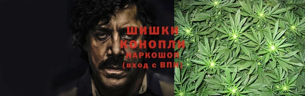 амф Касимов