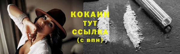 амф Касимов