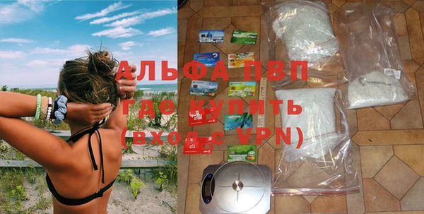 амф Касимов
