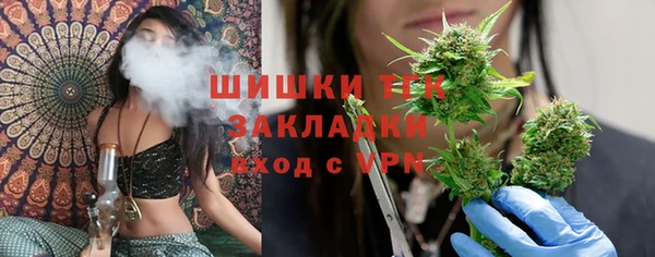 амф Касимов