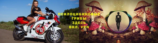 амф Касимов